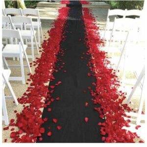 6m x 1.2m black carpet