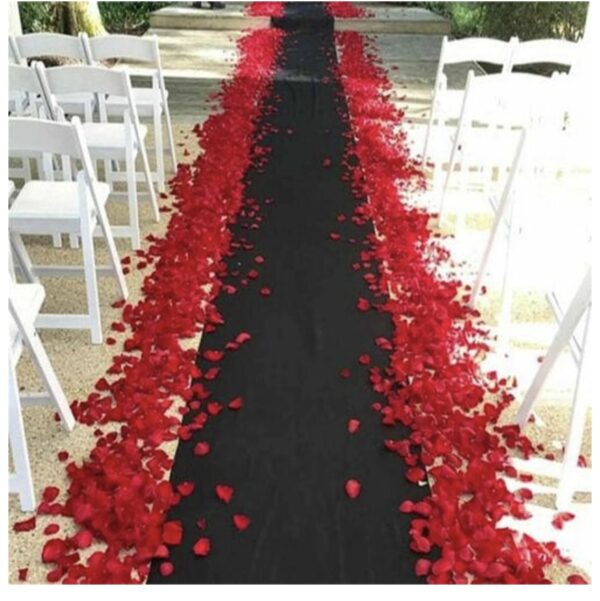 6m x 1.2m black carpet