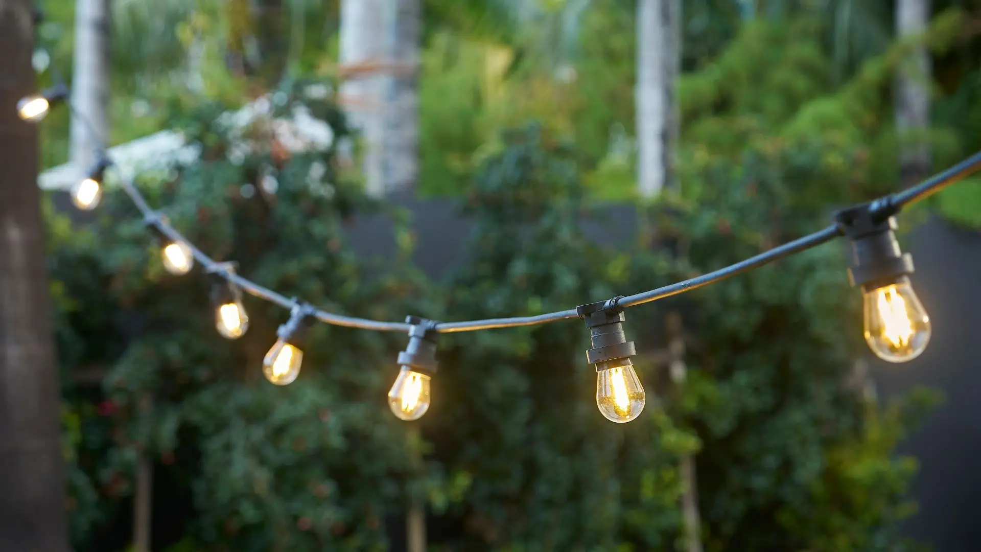 Waterproof festoon lights - 20m - Image 2