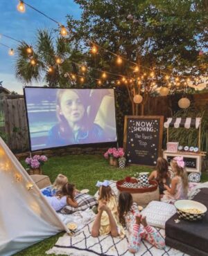 Option 1: Cinema/movie night hire – ESSENTIALS Package