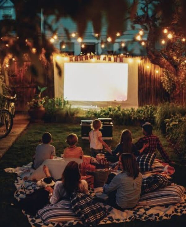 Option 1: Cinema/movie night hire - ESSENTIALS Package - Image 2