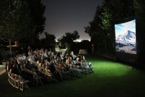 Option 4: Cinema/movie night hire - PAMPERED Package