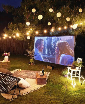 Option 3: Cinema/movie night hire – (Same as option 2 + bean bags & grass mat)